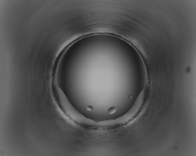 X0000091691134200708231434