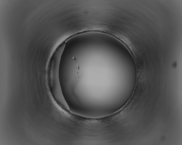 X0000091691135200708231434