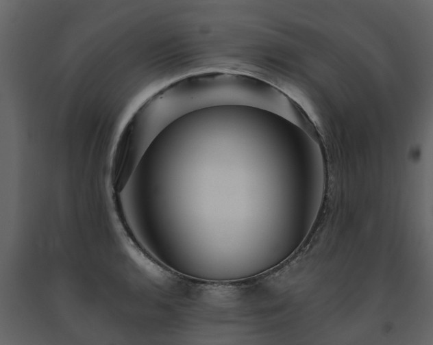 X0000091691136200708231434