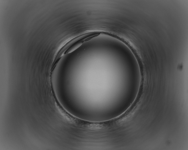 X0000091691137200708231434