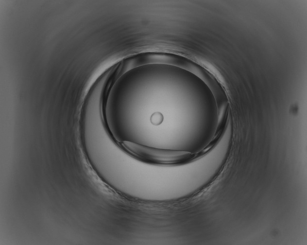 X0000091691138200708231434