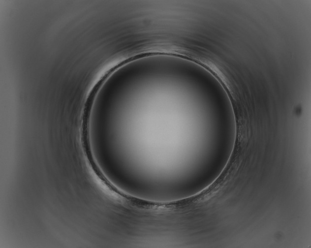 X0000091691139200708231434