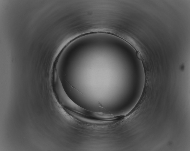 X0000091691140200708231434