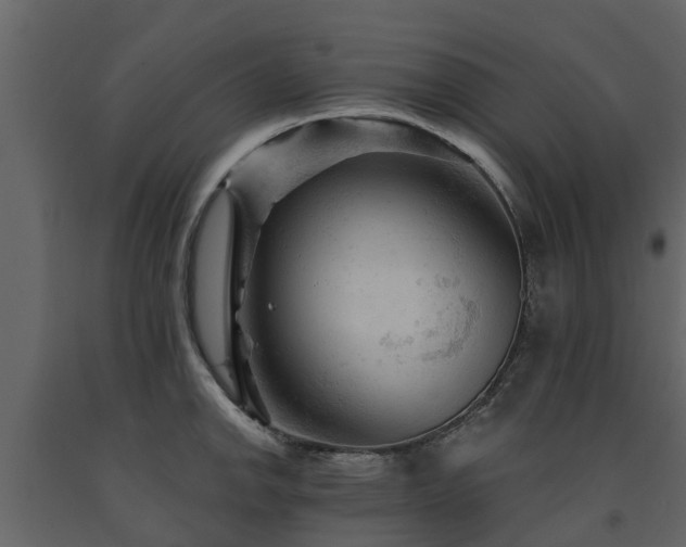 X0000091691142200708231434