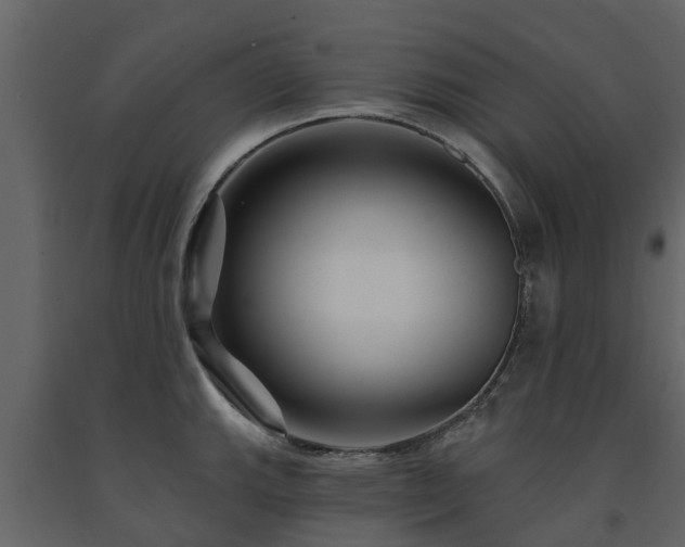 X0000091691143200708231434