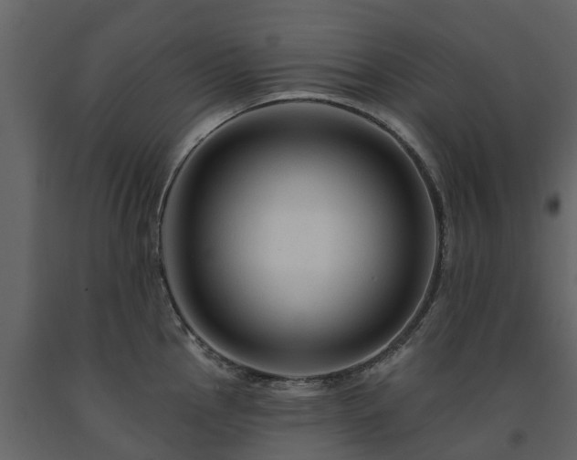 X0000091691145200708231434