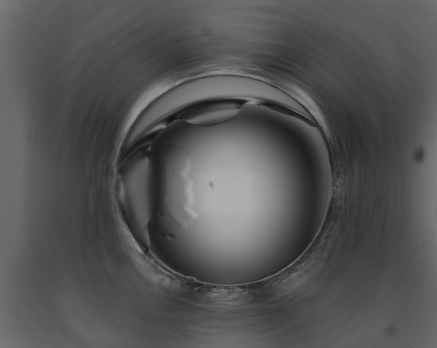 X0000091691146200708231434