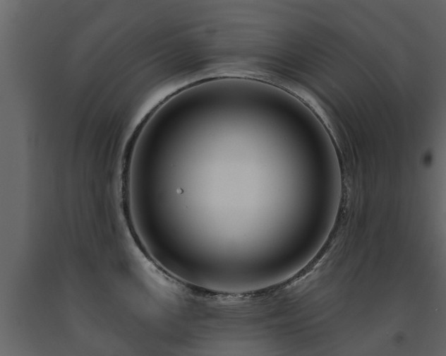 X0000091691147200708231434