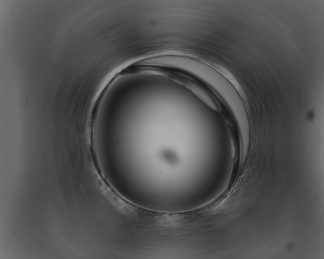 X0000091691148200708231434
