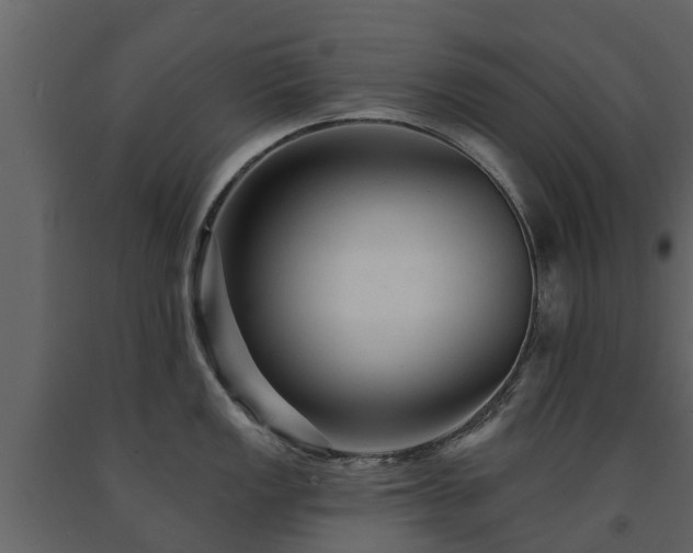 X0000091691149200708231434