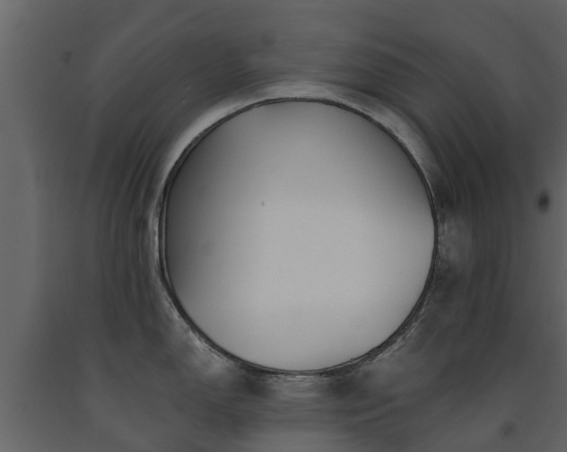 X0000091691150200708231434