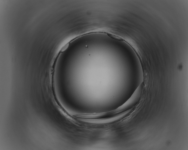 X0000091691151200708231434