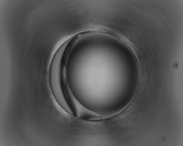 X0000091691152200708231434