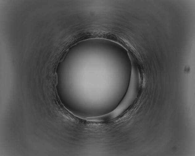 X0000091691153200708231433