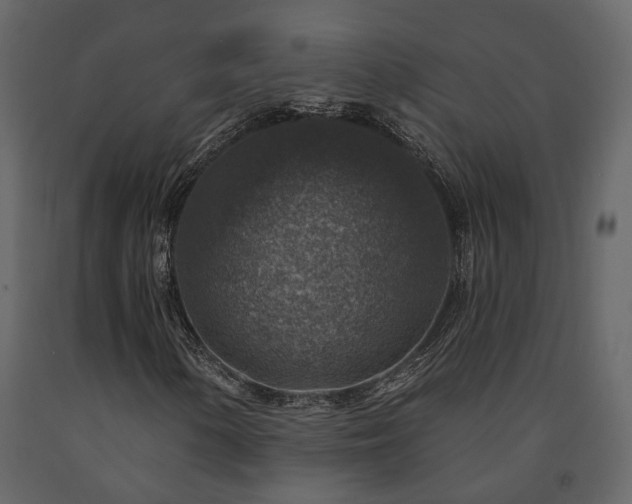 X0000091691154200708231433