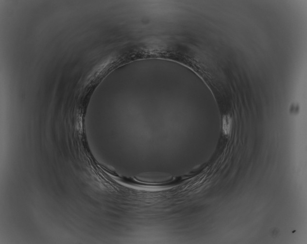 X0000091691155200708231433