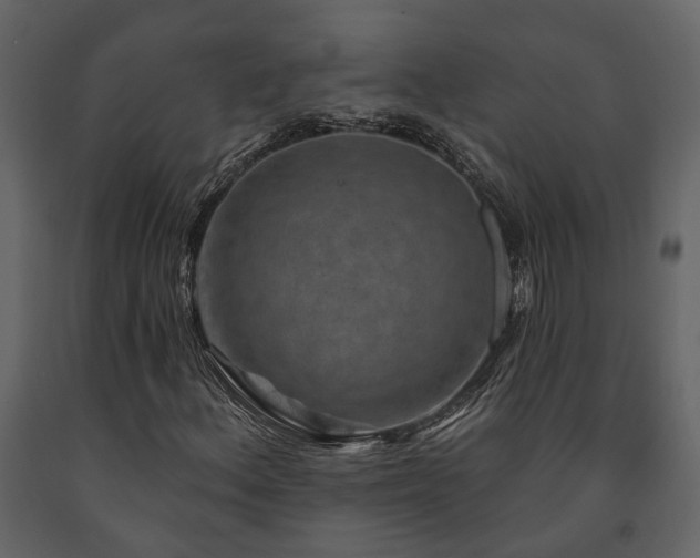 X0000091691156200708231433