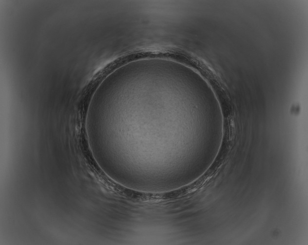 X0000091691158200708231433