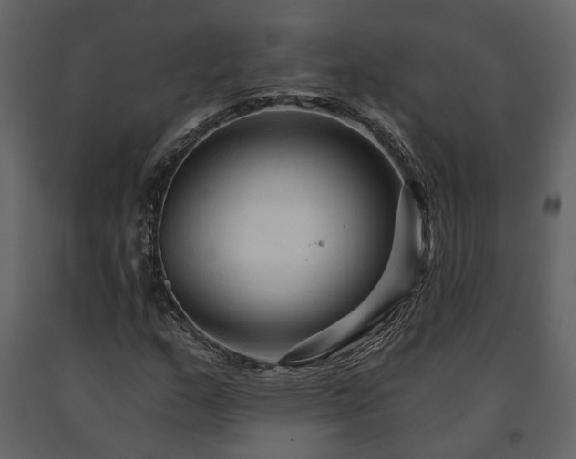 X0000091691159200708231433