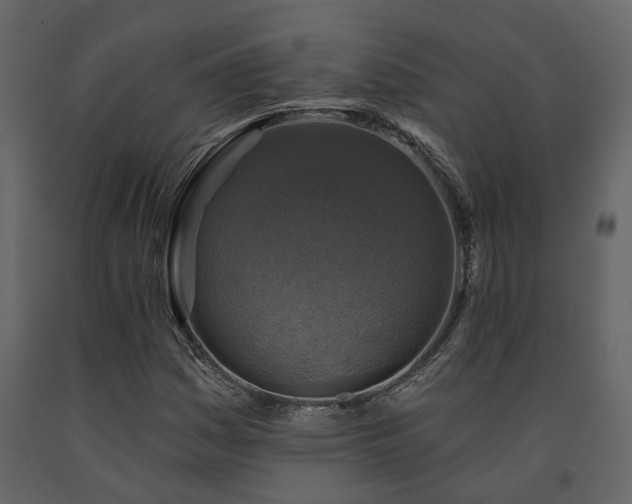 X0000091691161200708231433