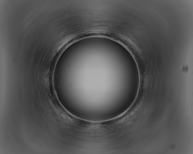 X0000091691162200708231433