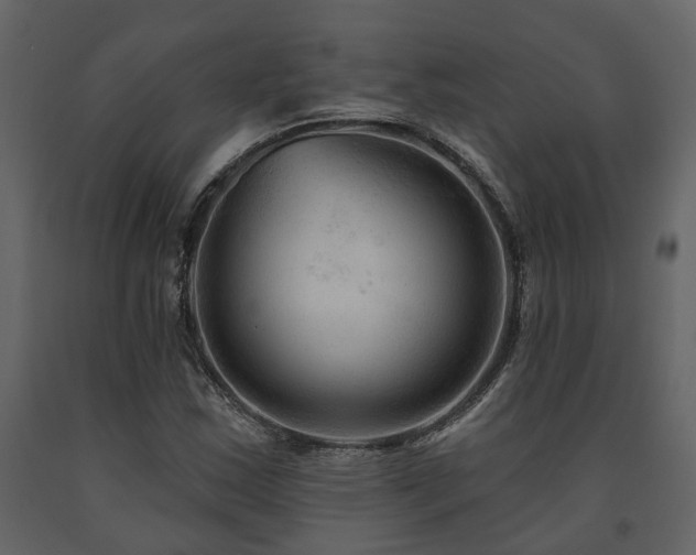 X0000091691163200708231433