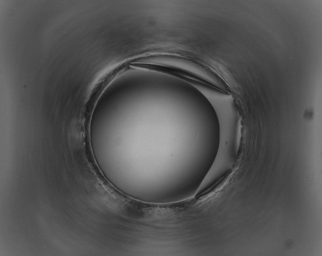 X0000091691164200708231433