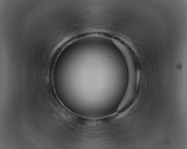 X0000091691165200708231433