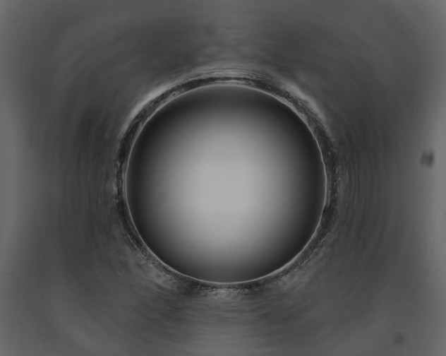 X0000091691166200708231433