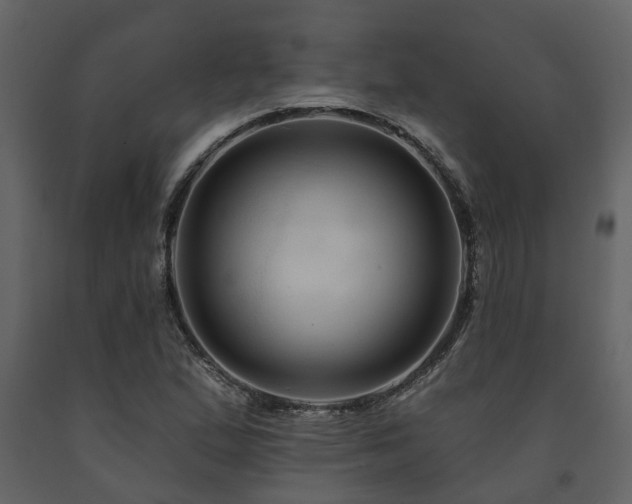 X0000091691167200708231433