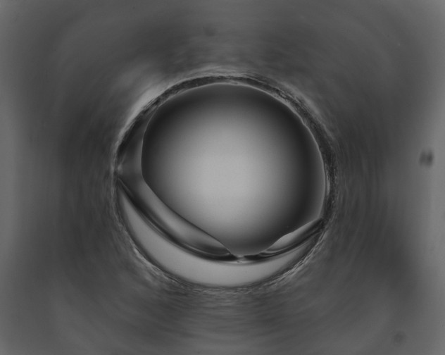 X0000091691168200708231433
