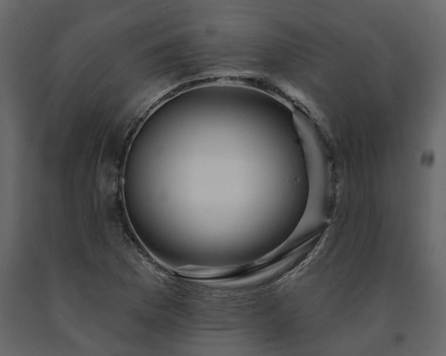 X0000091691169200708231433