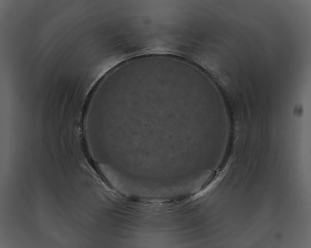 X0000091691170200708231433