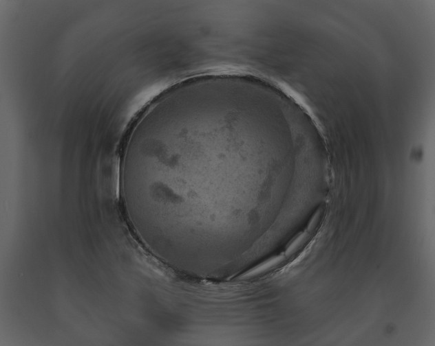 X0000091691171200708231433
