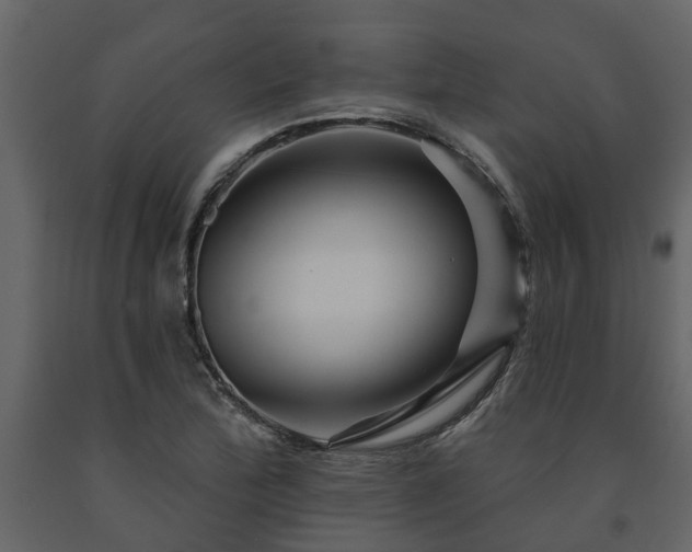 X0000091691172200708231433
