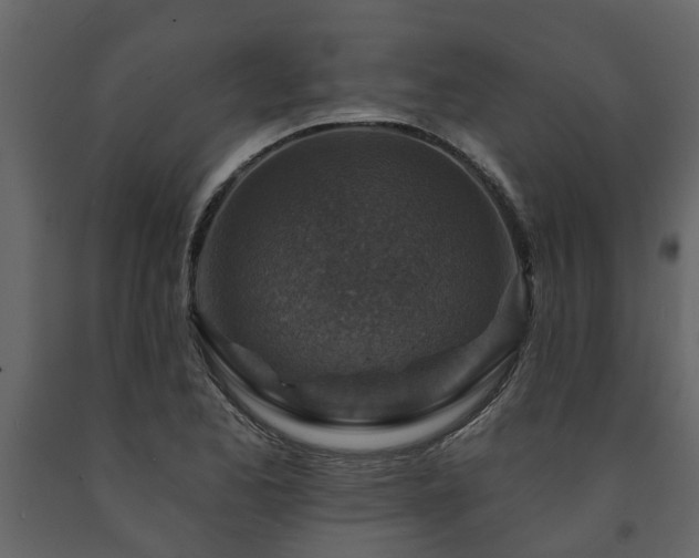 X0000091691173200708231433