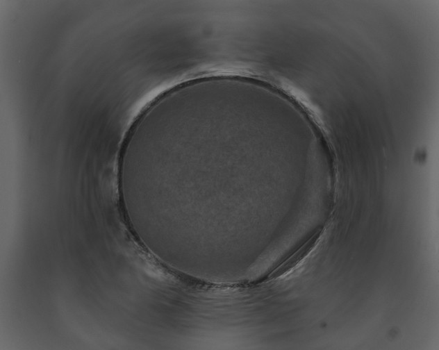 X0000091691174200708231433