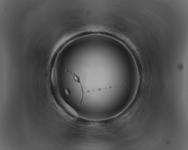 X0000091691175200708231433