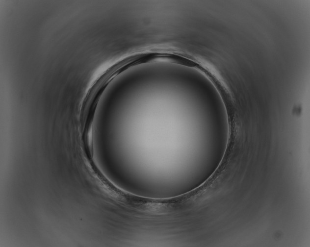 X0000091691176200708231433