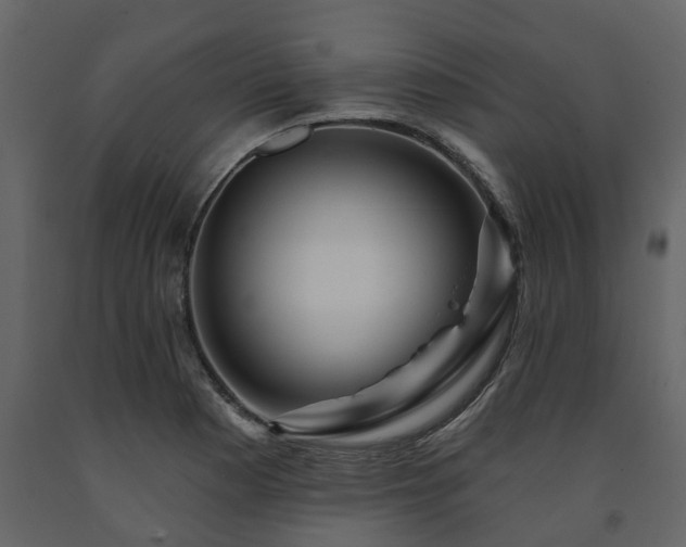 X0000091691177200708231433