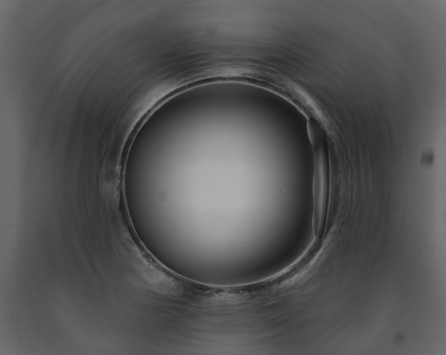 X0000091691178200708231433