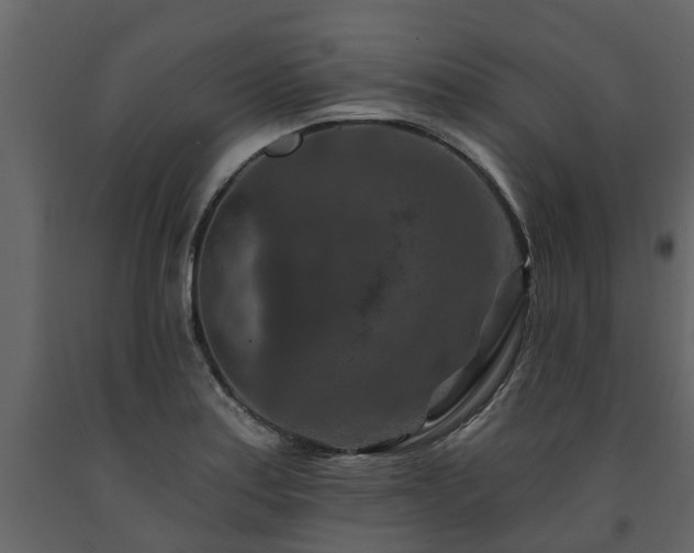 X0000091691179200708231433