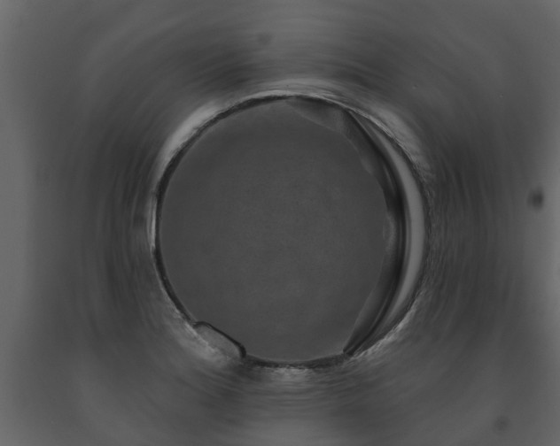 X0000091691180200708231433