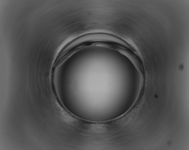 X0000091691181200708231433