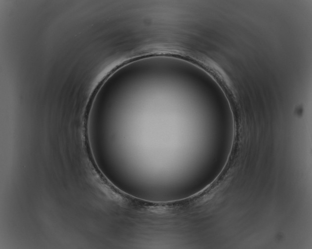 X0000091691182200708231433