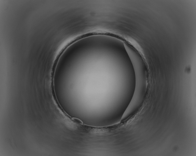 X0000091691183200708231433