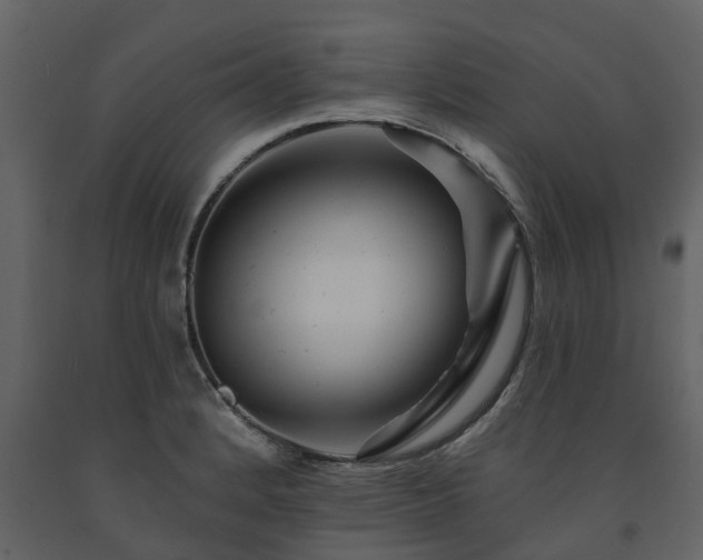 X0000091691184200708231433