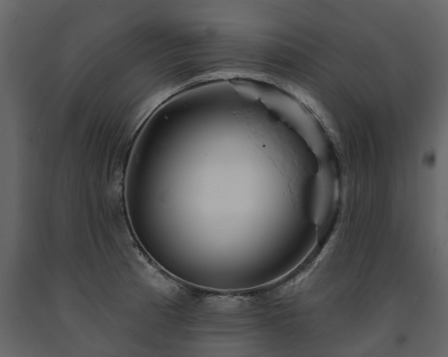 X0000091691185200708231433