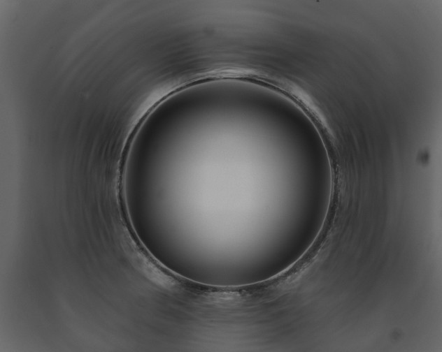 X0000091691186200708231433