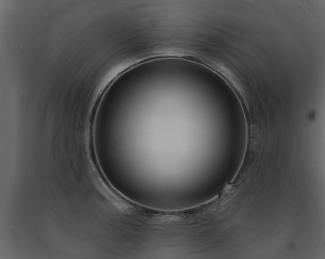 X0000091691187200708231433